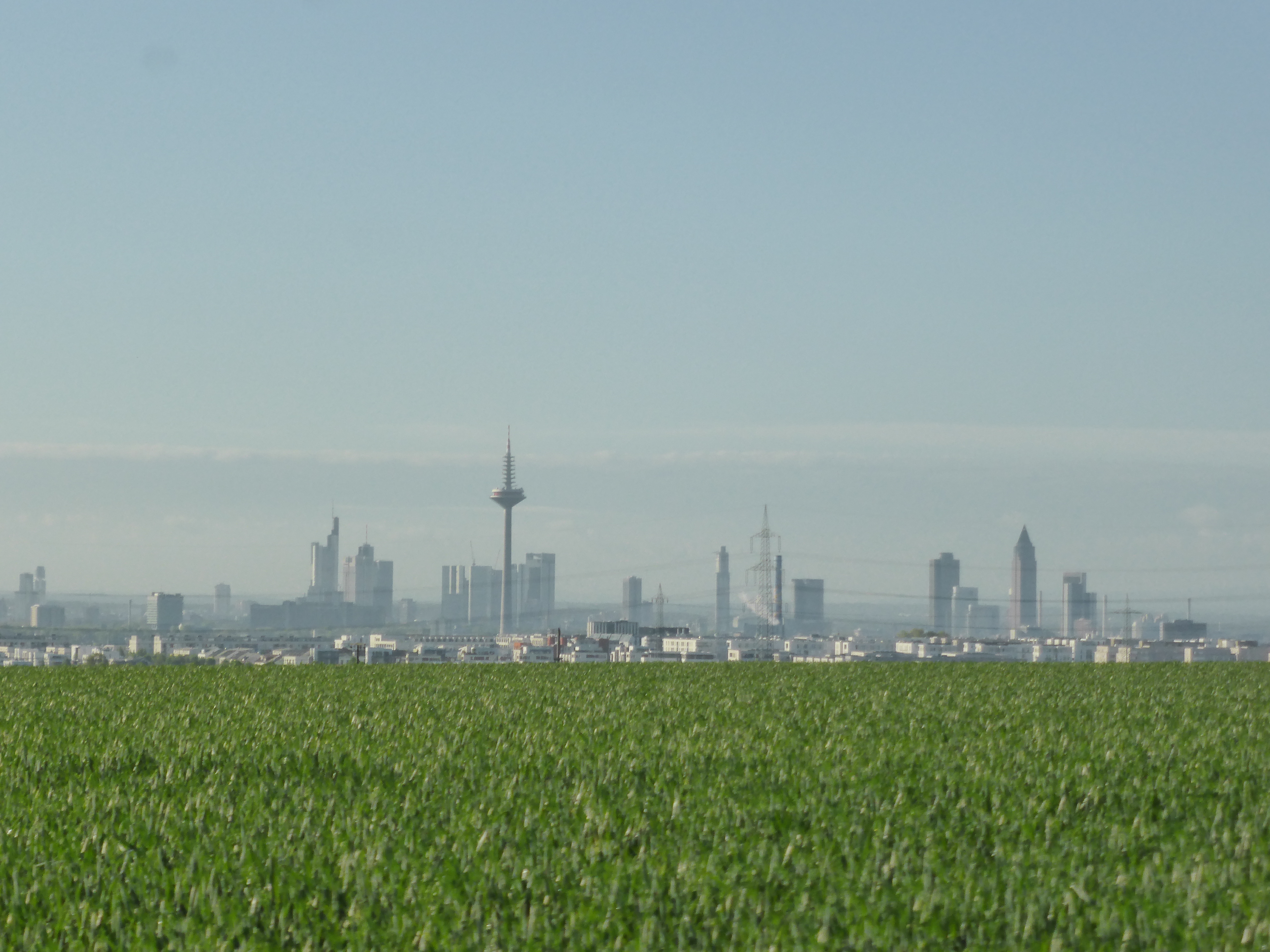 Blick auf Frankfurt