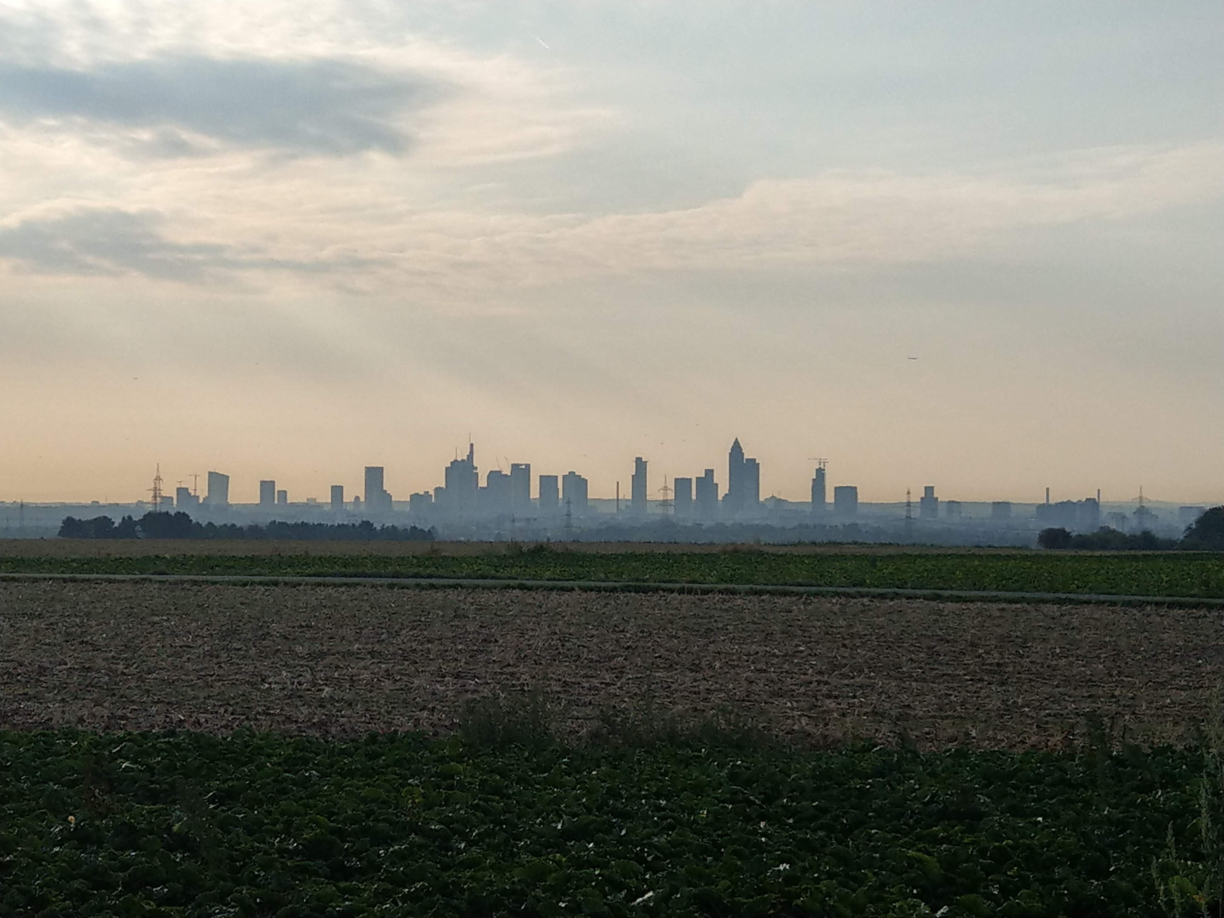 Frankfurter Skyline am Morgen